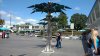 MK TL tree.jpg MK TL tree.jpg