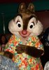 dale hawaii 2012 18126 100_6675 (2).jpg