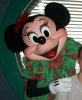 minnie MR2 2011 15-006 100_4337 (2).jpg