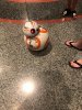 IMG_Oct52018at83603AM.jpg