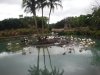 DSCF3157.JPG