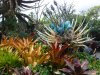 DSCF3252.JPG