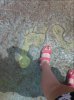 DSCF3241.JPG