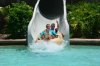 PhotoPass_Visiting_WDWRESORTSANDMORE_412909955000.jpg