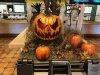 thumbnail_IMG_3529.jpg