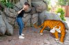 Sher Khan.jpg