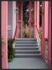aruba steps 1.JPG