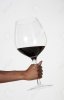 22351275-woman-holding-very-large-glass-of-red-wine.jpg