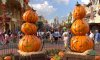 MK pumpkins.jpg
