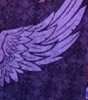 crop7812.jpg