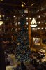 234CB2D6-BDE4-486C-9E3B-E644BE88ABF2.jpeg