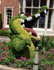 IMG_0884.jpg