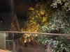 thumbnail_IMG_3001.jpg