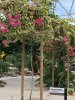 thumbnail_IMG_3016.jpg
