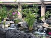 thumbnail_IMG_3018 (1).jpg