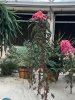 thumbnail_IMG_3022.jpg
