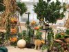 thumbnail_IMG_3027.jpg