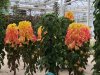thumbnail_IMG_3029.jpg