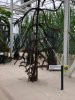 thumbnail_IMG_3030.jpg