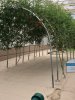 thumbnail_IMG_3033.jpg