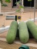 thumbnail_IMG_3035.jpg