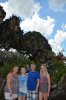 AK_PANDORAFLOATMTNICON_20180819_413002146248.jpg