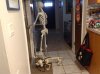 going for walk.jpg