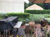 thumbnail_IMG_3192.jpg