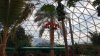 epcot land bts 3.jpg