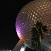 IMG_1919.jpg