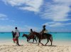20181016_124948-1-2080x1533.jpg