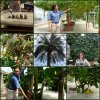 PicMonkey Collage (7).jpg