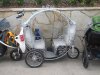 IMG_3186 - Copy.JPG