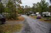 IMG_8288-1.jpg