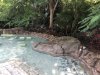 thumbnail_IMG_3359 (1).jpg