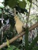 thumbnail_IMG_3361.jpg