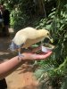 thumbnail_IMG_3365.jpg