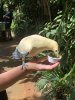 thumbnail_IMG_3366.jpg