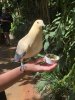 thumbnail_IMG_3368.jpg