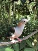 thumbnail_IMG_3375.jpg