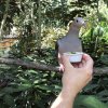 thumbnail_IMG_3376.jpg