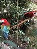 thumbnail_IMG_3373.jpg