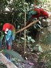 thumbnail_IMG_3371.jpg