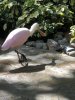 thumbnail_IMG_3392.jpg