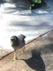 thumbnail_IMG_3400.jpg