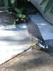 thumbnail_IMG_3399.jpg