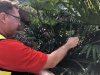 thumbnail_IMG_3411.jpg