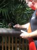 thumbnail_IMG_3401.jpg