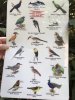 thumbnail_IMG_3415.jpg