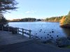 IMG_1158.JPG